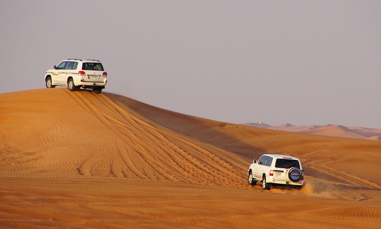 Desert Safari